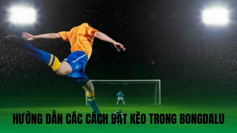 Hướng dẫn chi tiết các cách bắt kèo trong Bongdalu