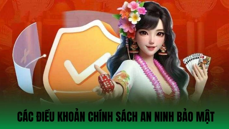 Một số các điều khoản chính sách an ninh bảo mật
