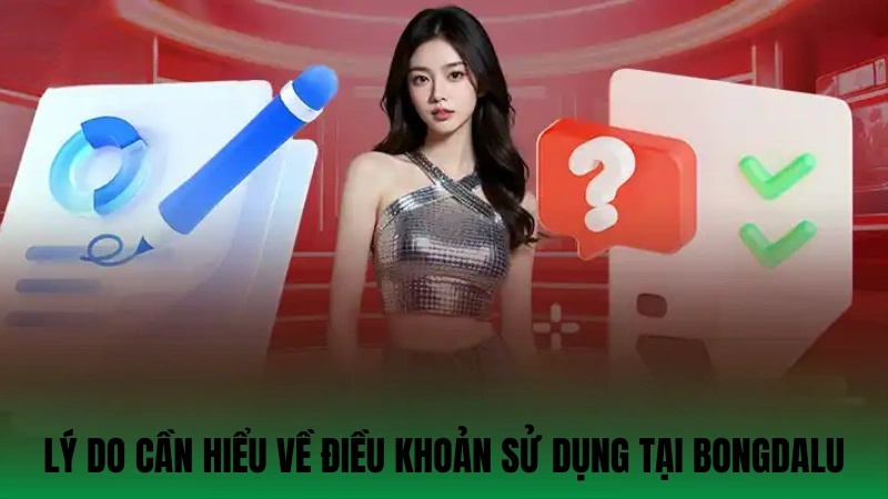Lý do người chơi cần hiểu về điều khoản sử dụng tại Bongdalu
