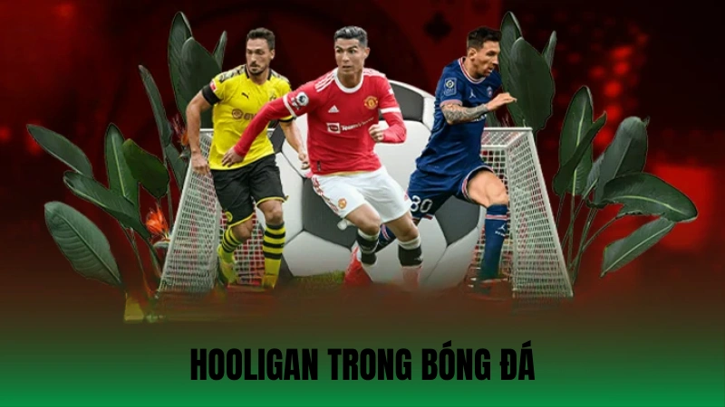 Hooligan Trong Bóng Đá