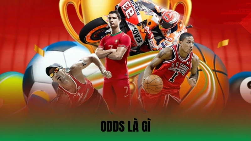 Odds Là Gì