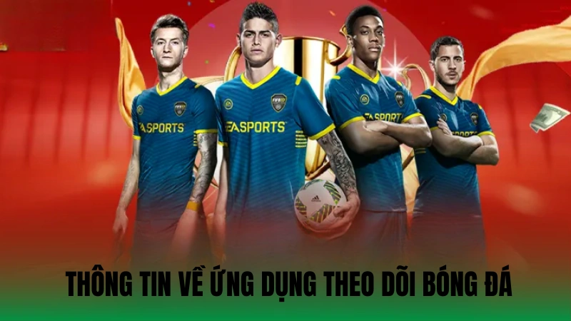 Một số thông tin về ứng dụng theo dõi bóng đá