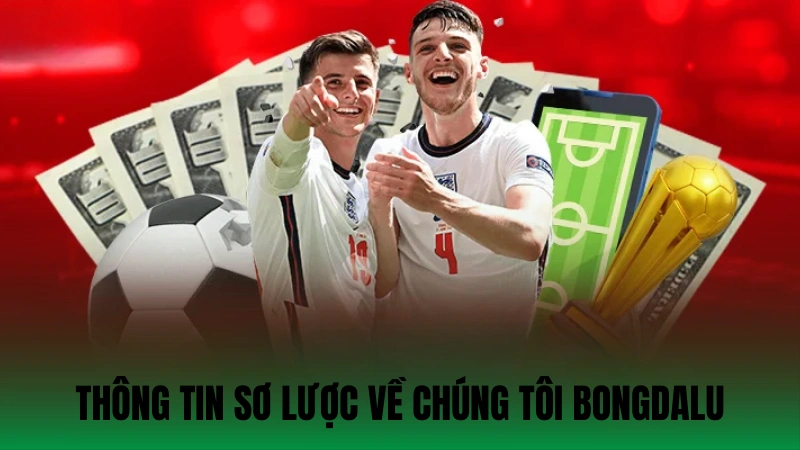 Thông tin sơ lược về chúng tôi bongdalu